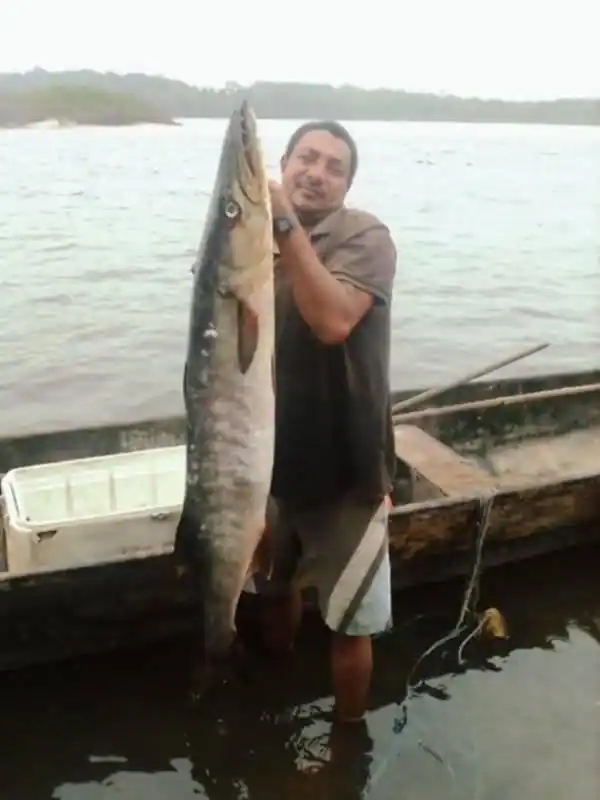 Pêcheur présentant un grand barracuda capturé dans la lagune d’Iguéla au Gabon lors d’une sortie de pêche sportive.