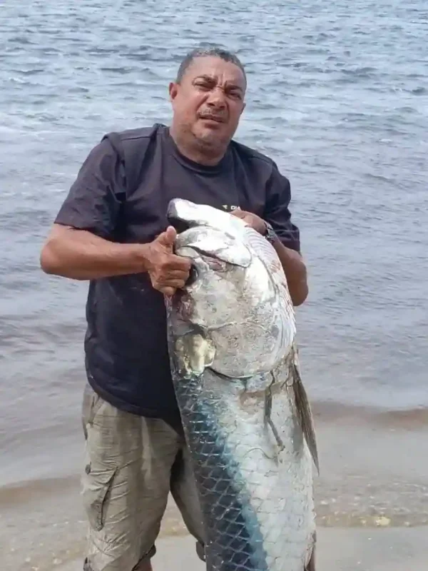 Guide de pêche tenant un impressionnant tarpon géant capturé dans la lagune d’Iguéla au Gabon, une espèce emblématique de la pêche sportive africaine.