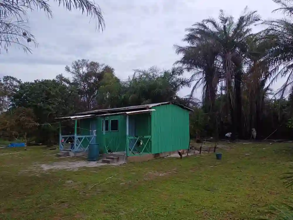 Bungalow de Bangué Lodge entouré de palmiers et de végétation tropicale dans un environnement naturel préservé de la lagune d’Iguéla au Gabon.