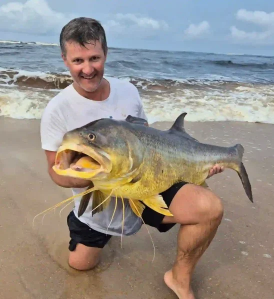 Pêcheur agenouillé sur une plage d’Iguéla au Gabon tenant un imposant capitaine capturé en bord d’océan, avec les vagues en arrière-plan.