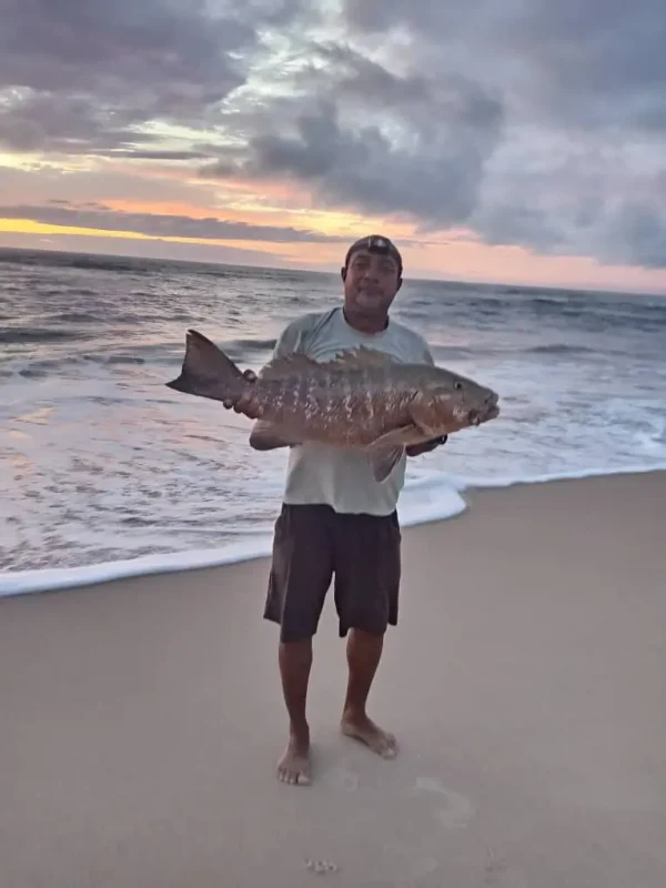 Guide présentant une grande carpe rouge capturée depuis la plage dans la région d’Iguéla au Gabon.
