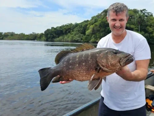 carpe rouge pêchée en bateau