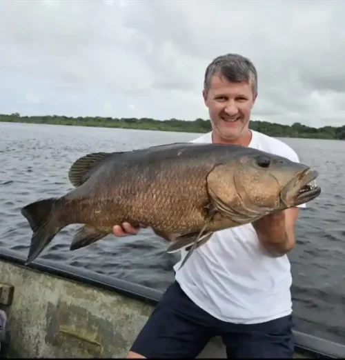 Carpe rouge pêchée dans la lagune d'Iguéla