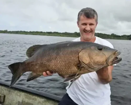 Carpe rouge pêchée dans la lagune d'Iguéla