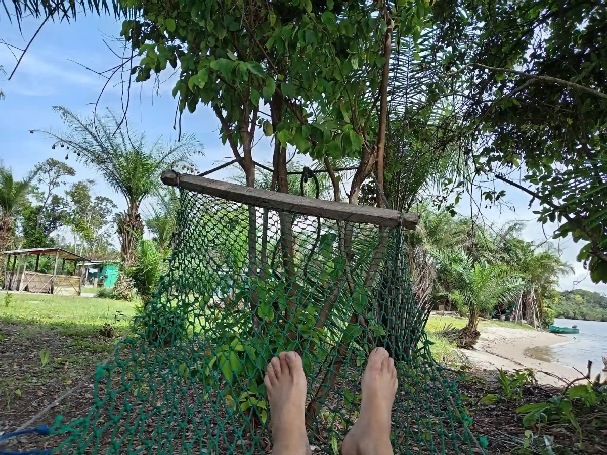 Vue depuis un hamac installé sous les arbres de Bangué Lodge, avec la plage, la végétation tropicale et la lagune d’Iguéla en arrière-plan au Gabon.