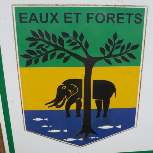 eaux et forêts Gabon