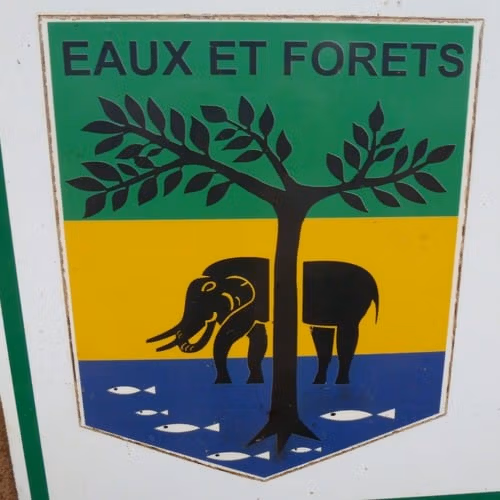 eaux et forêts Gabon