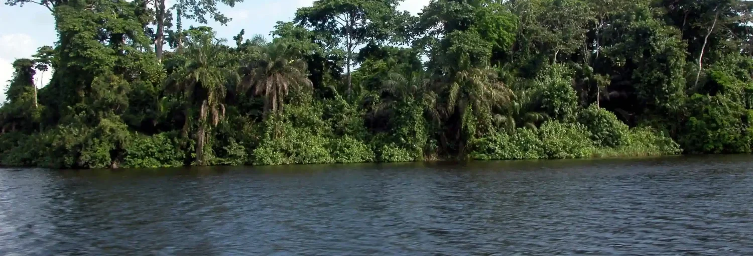 Lagune d’Iguéla bordée par la forêt équatoriale au Gabon