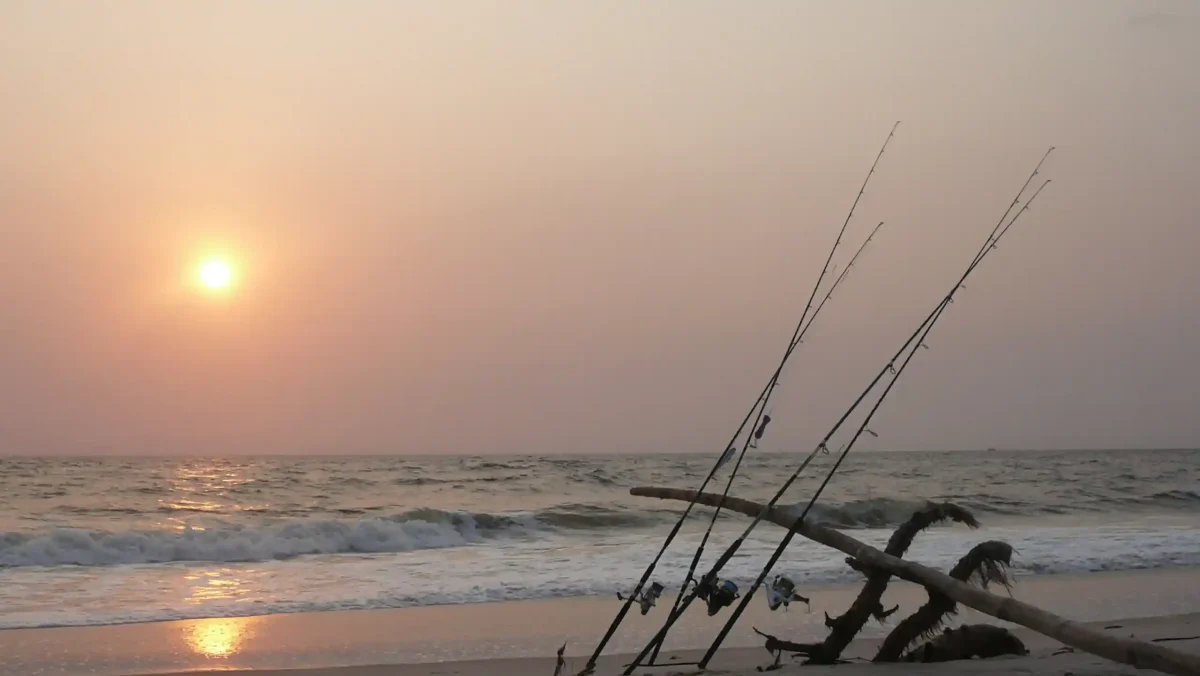 Cannes de surfcasting installées sur la plage d'Iguéla au coucher du soleil, près de Bangué Lodge au Gabon.