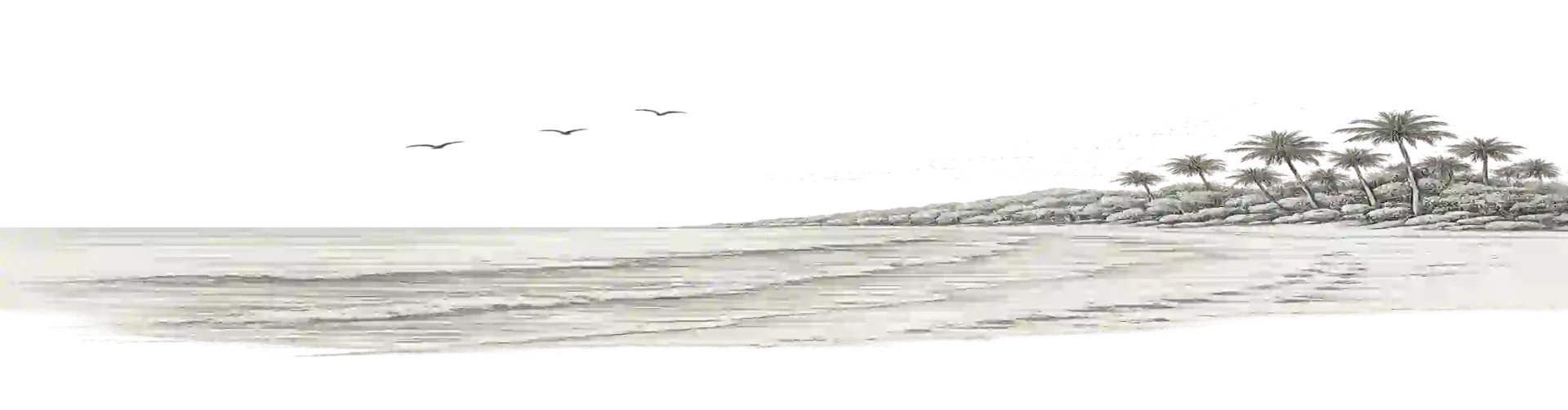 Illustration d’une plage sauvage bordée de palmiers sur le littoral du parc national de Loango au Gabon.