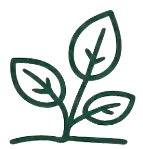 Icône de jeune plante représentant la végétation et les écosystèmes du parc national de Loango.