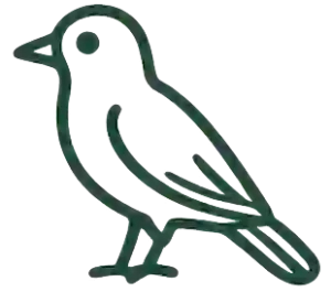 Icône représentant l’observation des oiseaux et la richesse ornithologique de la lagune d’Iguéla et du parc national de Loango au Gabon.