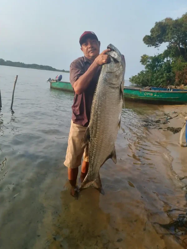 Pêcheur tenant un grand tarpon au bord de la lagune d’Iguéla au Gabon