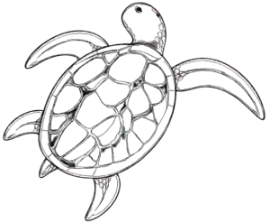 Illustration d’une tortue luth représentant les espèces qui fréquentent les plages du parc national de Loango au Gabon.