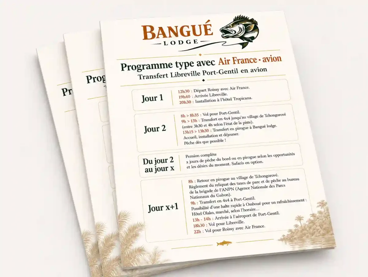 Pile de programmes types de voyage Bangué Lodge avec un document Air France avion en premier plan.
