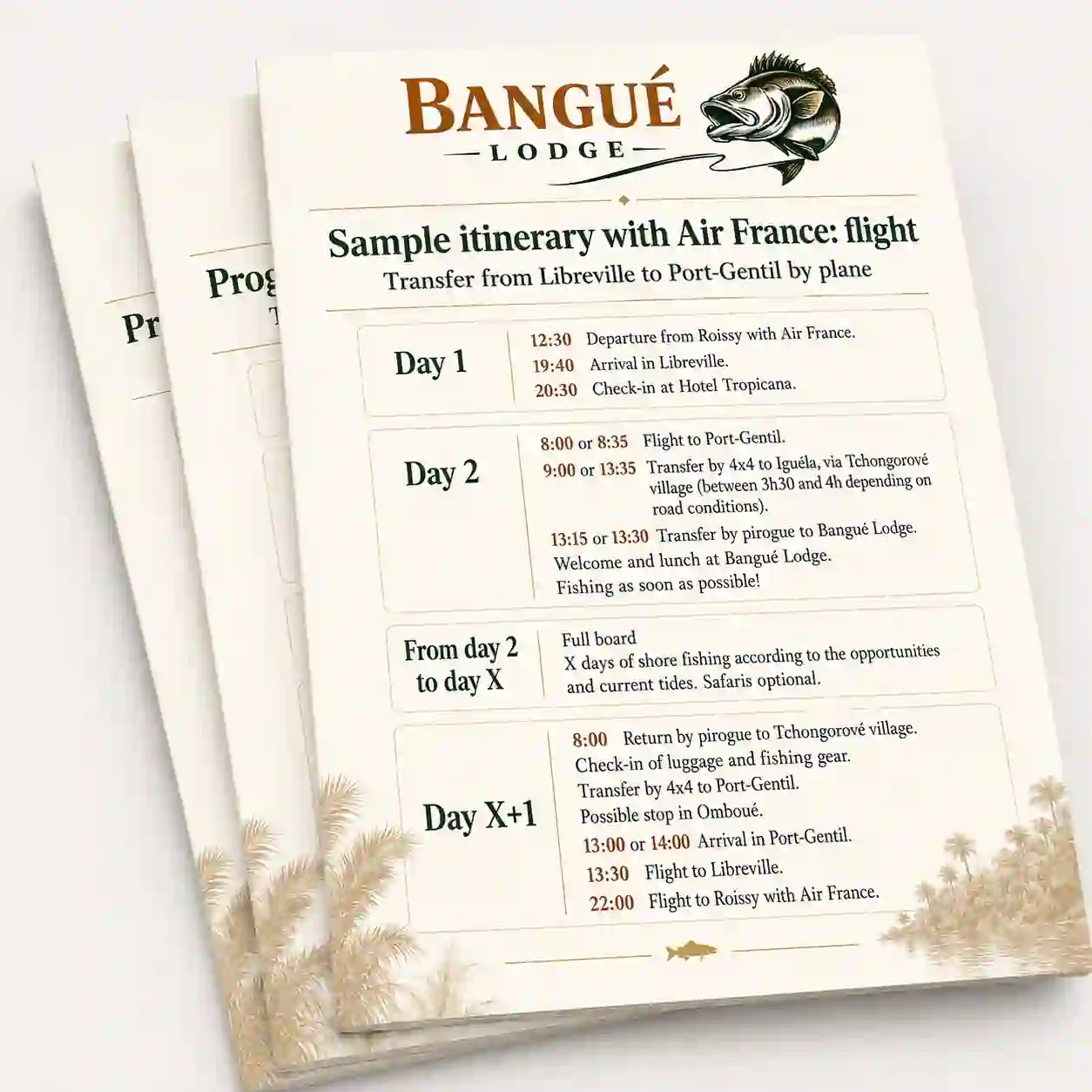 Présentation de plusieurs programmes de voyage en anglais pour rejoindre Bangué Lodge, avec un itinéraire Air France visible au premier plan.